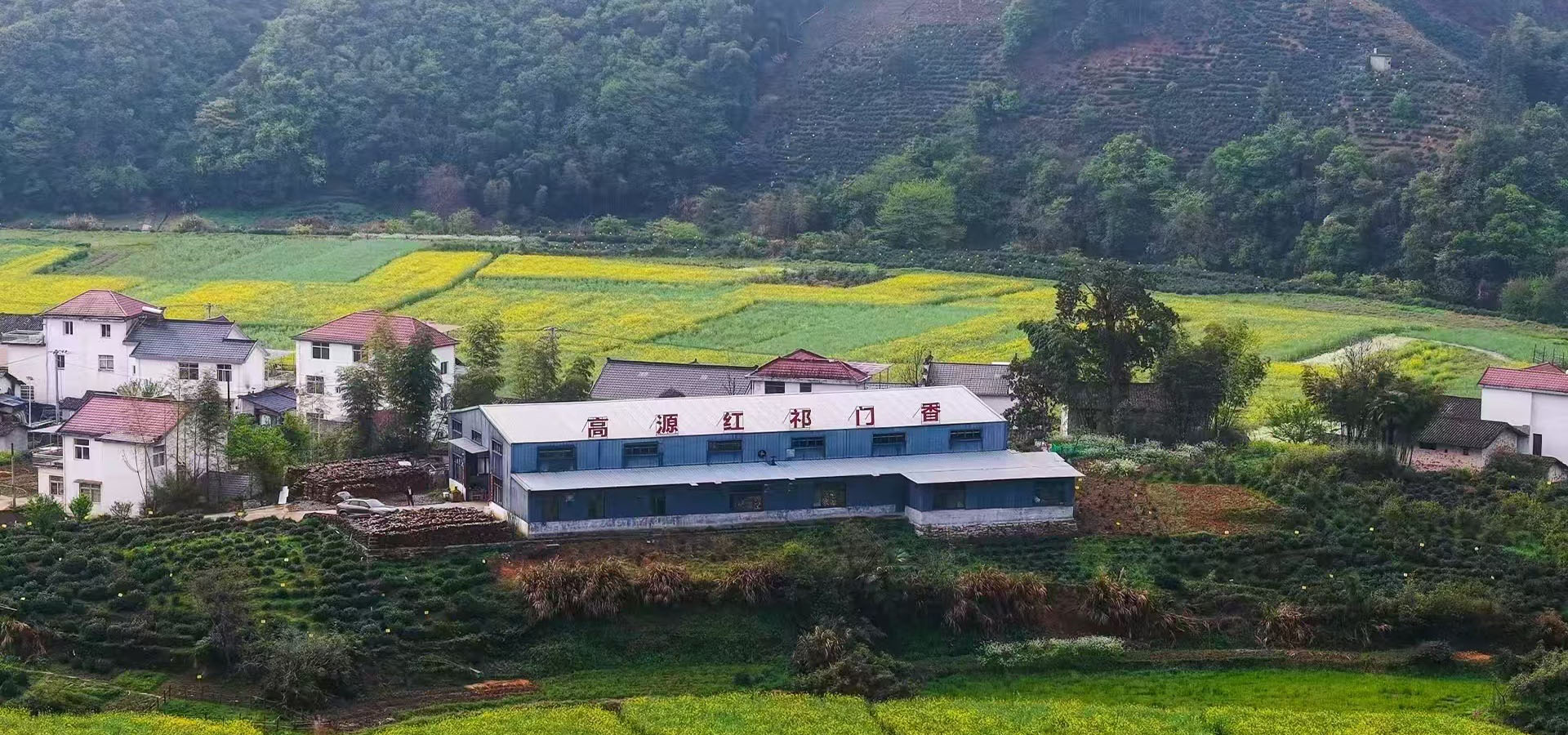 轮播图